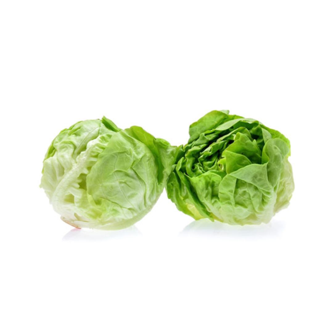 Butter Lettuce Roll Auralis