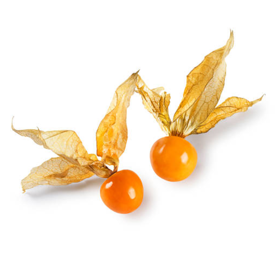 Cape gooseberry