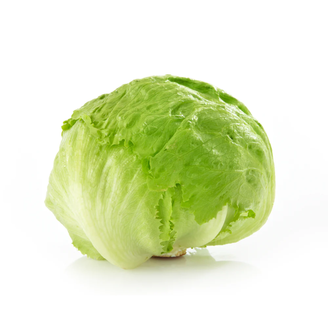 Rollo de lechuga iceberg