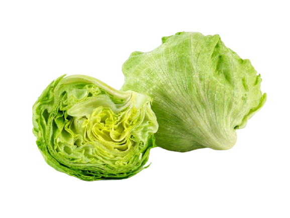 LECHUGA ICEBERG